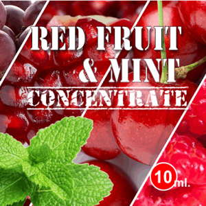 REED FRUIT MINT-30ml